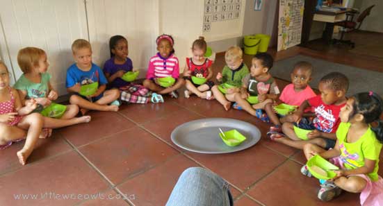 Little Wise Owls Pre-school Elarduspark x1