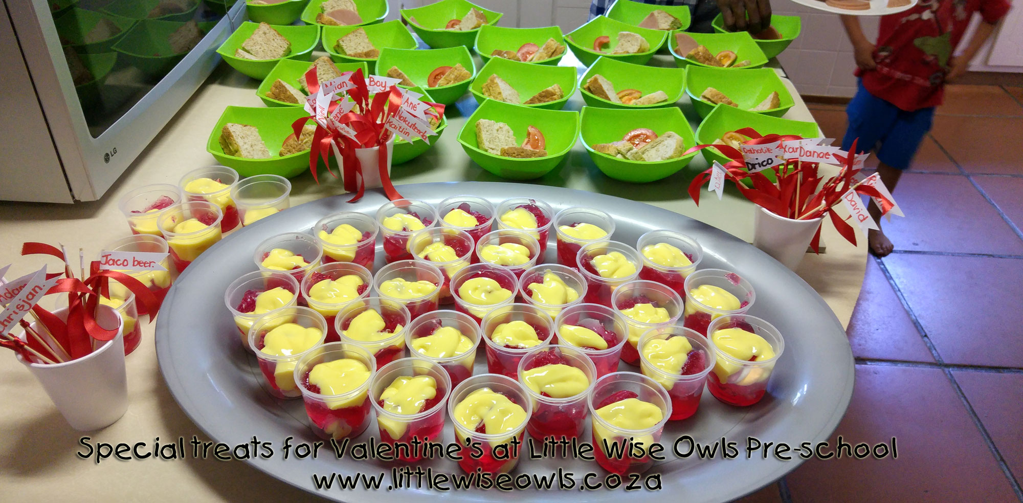 Little Wise Owls Pre-school Voorskool Kleuterskool; Elarduspark x1; Pretoria; South Africa