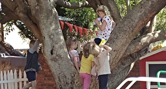 Little Wise Owls Pre-school Elarduspark x1