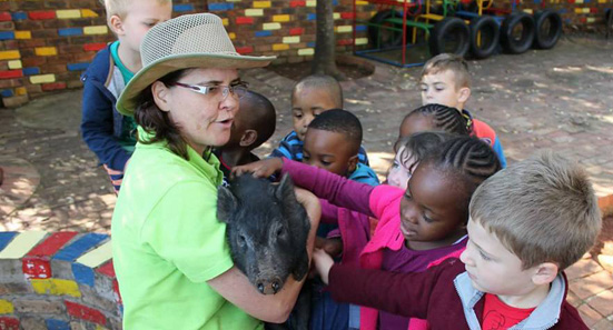 Little Wise Owls Pre-school Elarduspark x1