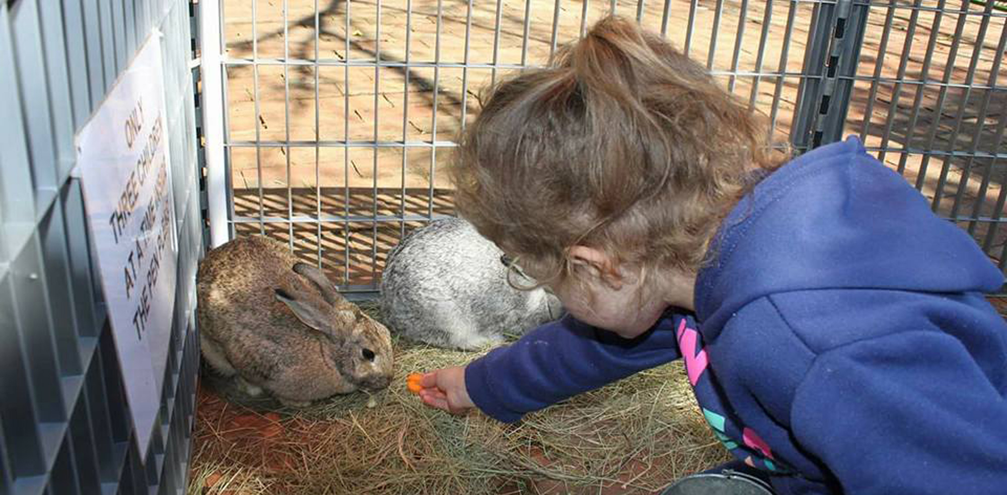 Little Wise Owls Pre-school Voorskool Kleuterskool; Elarduspark x1; Pretoria; South Africa