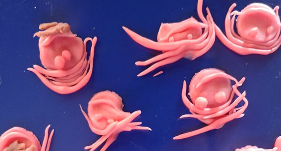 Little Wise Owls Pre-school Elarduspark x1