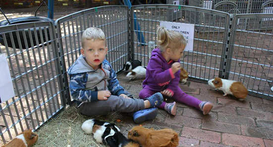 Little Wise Owls Pre-school Elarduspark x1