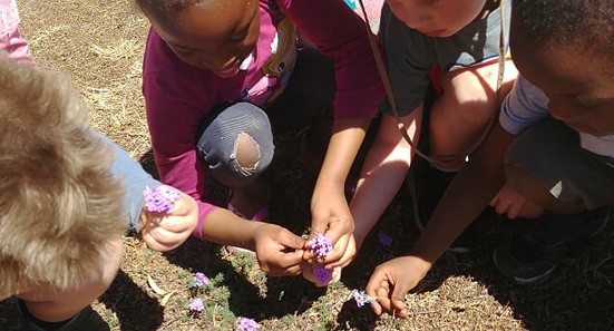 Little Wise Owls Pre-school Elarduspark x1