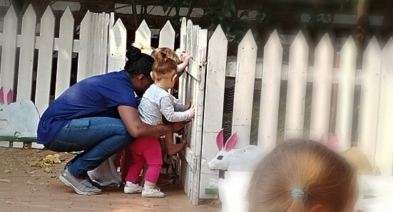 Little Wise Owls Pre-school Elarduspark x1