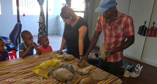 Little Wise Owls Pre-school Elarduspark x1