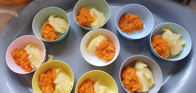 Little Wise Owls Pre-school Elarduspark x1