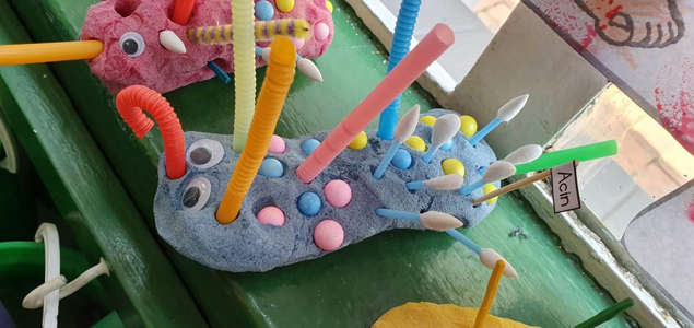 Little Wise Owls Pre-school Elarduspark x1