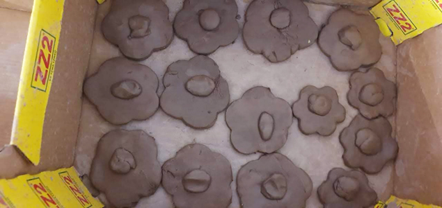 Little Wise Owls Pre-school Elarduspark x1