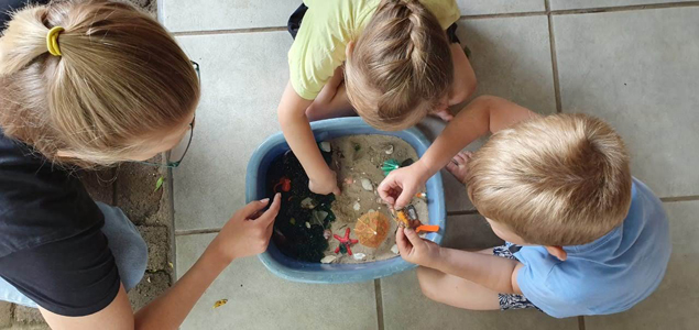 Little Wise Owls Pre-school Elarduspark x1