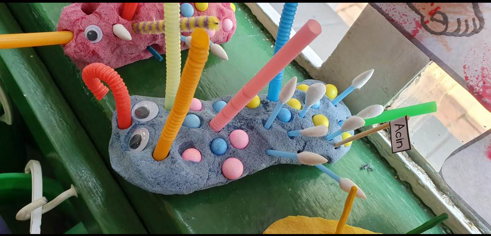 Little Wise Owls Pre-school Voorskool Kleuterskool; Elarduspark x1; Pretoria; South Africa